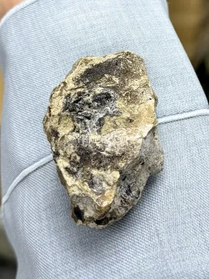 صورة الإعلان