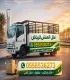 الصورة الشخصية لـ علي عثمان